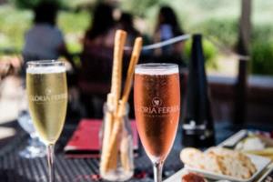 小鱼缸养不活孔雀鱼和玛丽鱼的全面分析