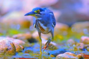 大年初六风俗习惯