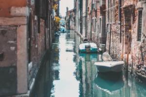 锦鲤身上有白点，白霉怎么治